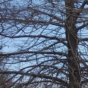 Meet your Posher, Nelson